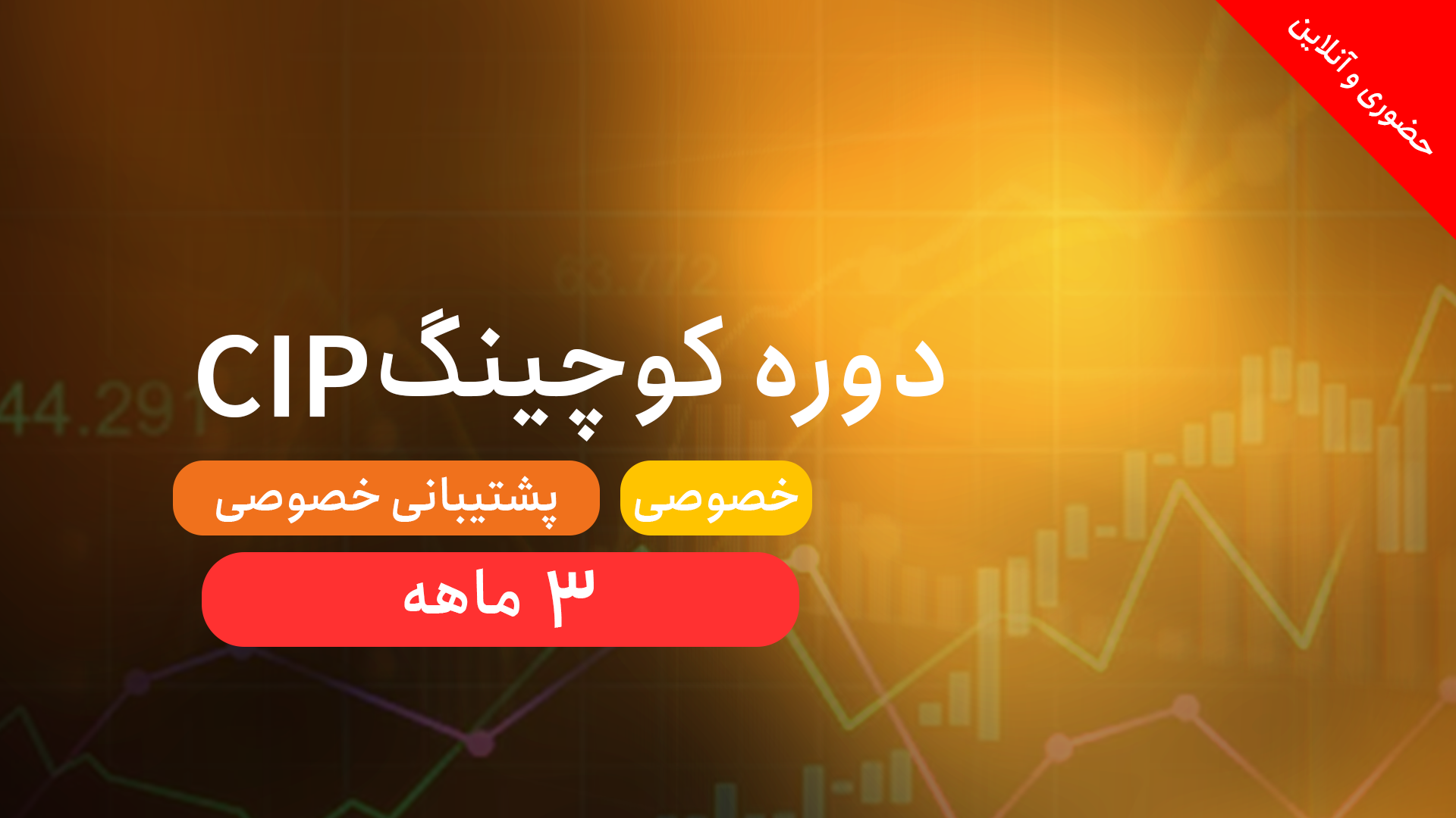 دوره خصوصی cip