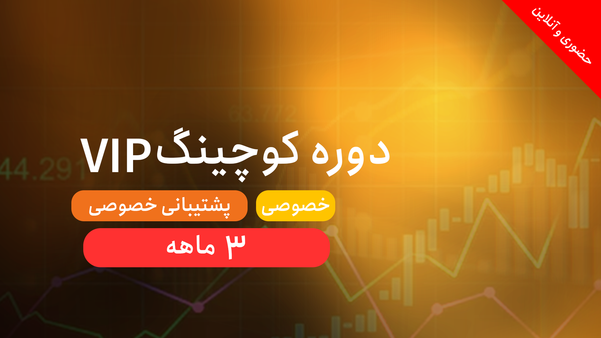 دوره خصوصی vip